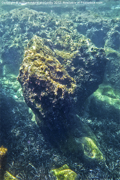 Underwater Rock Picture Board by William AttardMcCarthy
