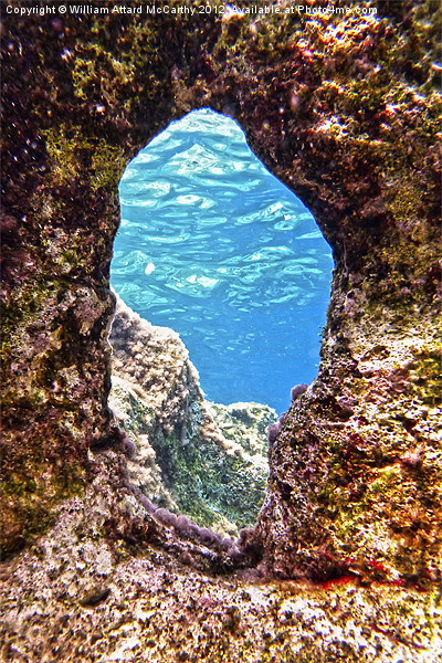A Mermaid's Bedroom WIndow Picture Board by William AttardMcCarthy