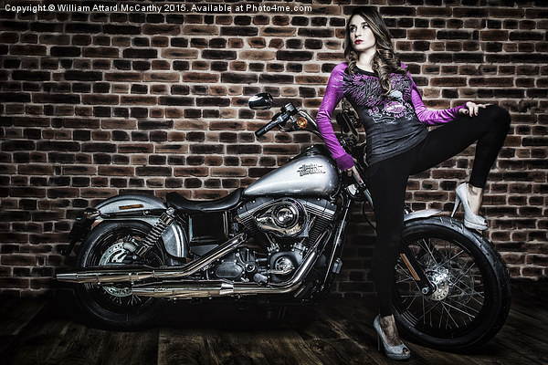Harley Girl  Picture Board by William AttardMcCarthy