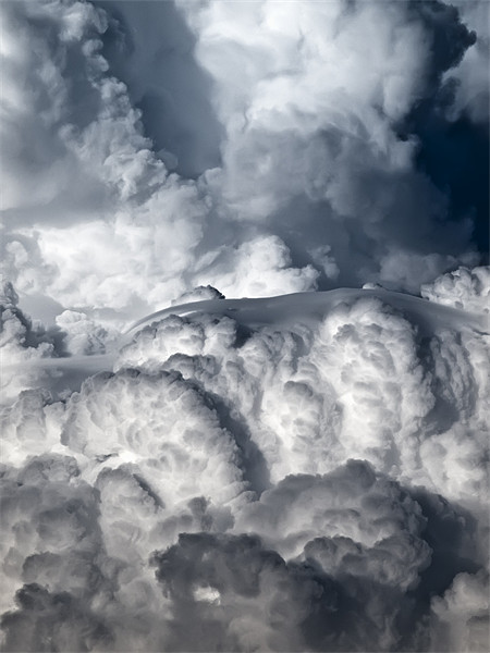 Pileus Cloud Picture Board by William AttardMcCarthy