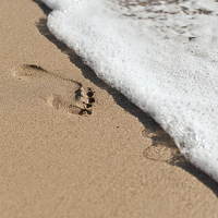 Buy canvas prints of Footprint in the sand by Carl Shellis
