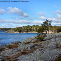 Buy canvas prints of Ingarö Island 2 in colour by Sarah Osterman