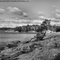 Buy canvas prints of Ingarö Island 2 in monochrome by Sarah Osterman