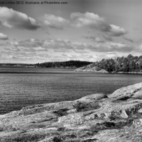 Buy canvas prints of Ingarö Island 3 in monochrome by Sarah Osterman
