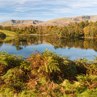 Buy canvas prints of Tarn Howe by david rodgers