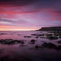 Buy canvas prints of Purple Haze by Gary Mather