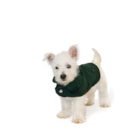 Buy canvas prints of Westie Puppy in Coat by Natalie Kinnear