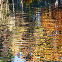 Buy canvas prints of Autumn Reflections I by Natalie Kinnear