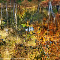 Buy canvas prints of Autumn Reflections II by Natalie Kinnear