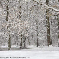 Buy canvas prints of Snowy Scene by Natalie Kinnear