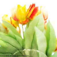 Buy canvas prints of Blurry Blurry Tulips by Natalie Kinnear