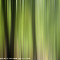 Buy canvas prints of Abstract Trees in the Forest by Natalie Kinnear