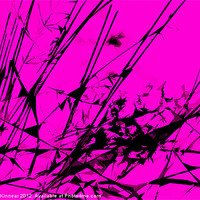 Buy canvas prints of Strike Out Pink and Black Abstract by Natalie Kinnear