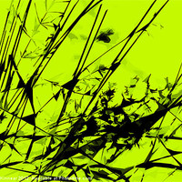 Buy canvas prints of Strike Out Lime Green and Black Abstract by Natalie Kinnear