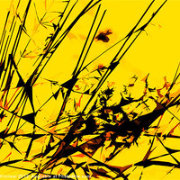 Buy canvas prints of Strike Out Yellow and Black Abstract by Natalie Kinnear
