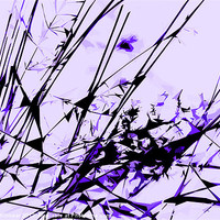 Buy canvas prints of Strike Out Purple and Black Abstract by Natalie Kinnear