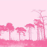 Buy canvas prints of Forest Trees in Pink by Natalie Kinnear