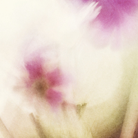 Buy canvas prints of Dream Flower Abstract 1 of 2 by Natalie Kinnear