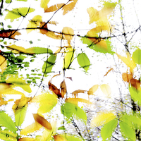 Buy canvas prints of Leaves Splash Abstract 1 by Natalie Kinnear