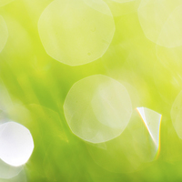 Buy canvas prints of Green Abstract - Dewdrops in the Sunlit Grass by Natalie Kinnear