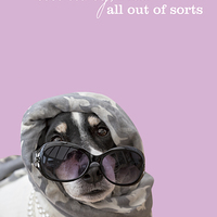 Buy canvas prints of Funny Dog and Text Poster - Dog Wearing Headscarf, by Natalie Kinnear
