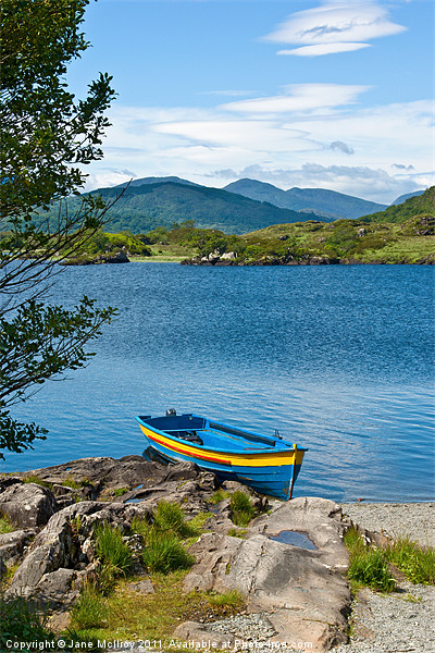 Boat on Upper Lake, Killarney Picture Board by Jane McIlroy