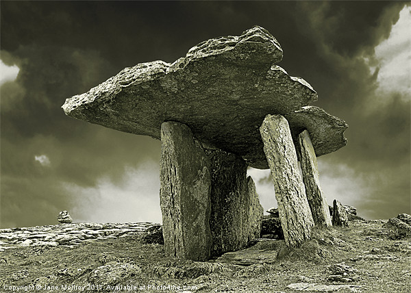 Poulnabrone Dolmen, Clare, Ireland Picture Board by Jane McIlroy