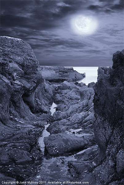 Moonlight over Rugged Seaside Rocks Picture Board by Jane McIlroy