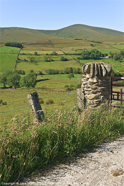 Gatepost in the Sperrin Mountains Picture Board by Jane McIlroy