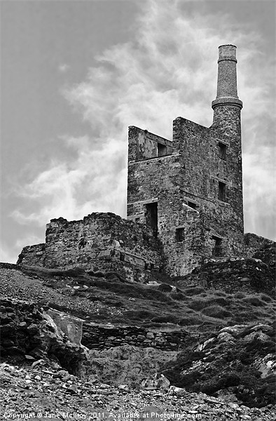 Old Copper Mine, West Cork Picture Board by Jane McIlroy