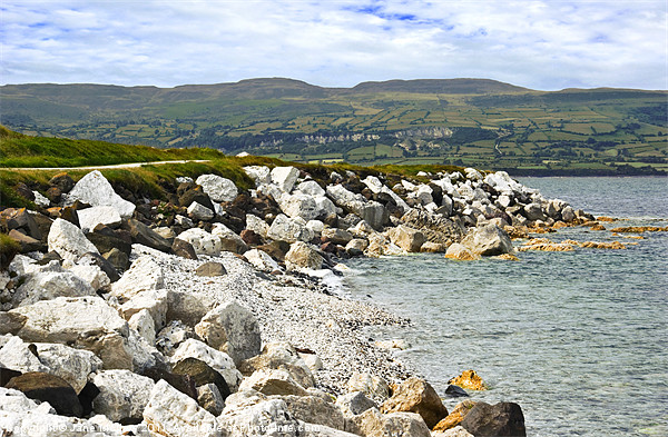 Carnlough Bay, Antrim, Northern Ireland Picture Board by Jane McIlroy