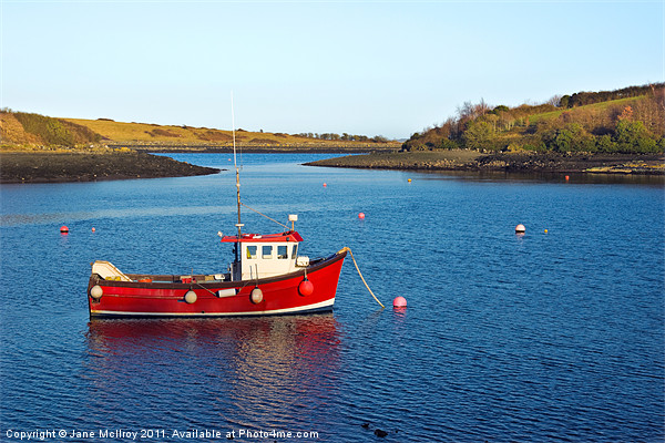 Strangford Lough Boat, Northern Ireland Picture Board by Jane McIlroy