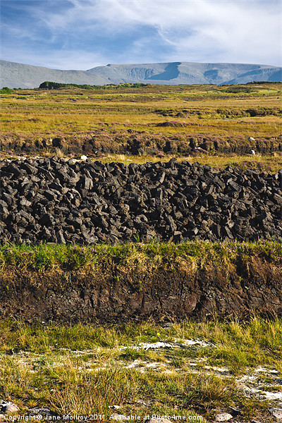 Peat Bog, Achill, Mayo, Ireland Picture Board by Jane McIlroy