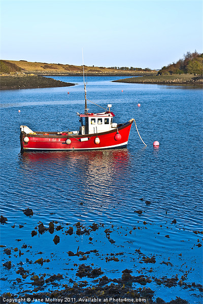 Strangford Lough Boat, Northern Ireland Picture Board by Jane McIlroy