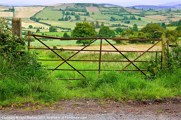 South Armagh Countryside, Northern Ireland Picture Board by Jane McIlroy