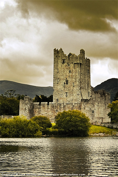 Ross Castle, Killarney, Kerry, Ireland Picture Board by Jane McIlroy