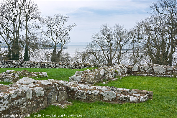 Nendrum, Strangford Lough, Northern Ireland Picture Board by Jane McIlroy