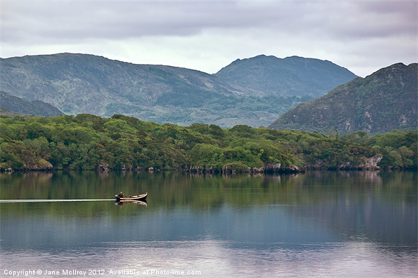 Lakes of Killarney, Kerry, Ireland Picture Board by Jane McIlroy