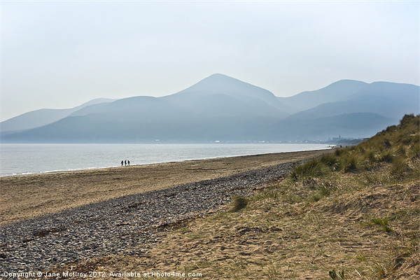 Mourne Mountains, Newcastle, Co Down Picture Board by Jane McIlroy