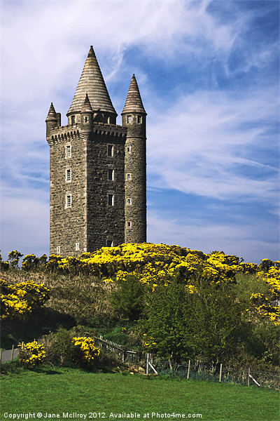 Scrabo Tower, Newtownards, County Down Picture Board by Jane McIlroy