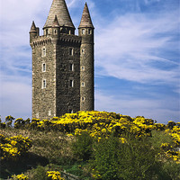 Buy canvas prints of Scrabo Tower, Newtownards, County Down by Jane McIlroy