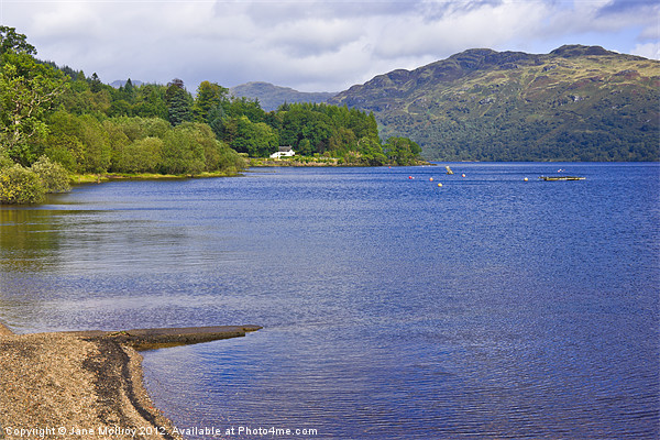 Loch Lomond, Scotland Picture Board by Jane McIlroy