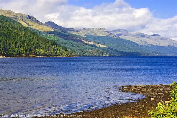 Loch Long, Argyll, Scotland Picture Board by Jane McIlroy