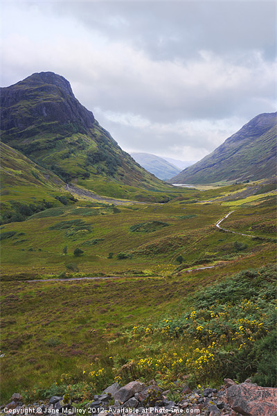 Glencoe, Highlands of Scotland Picture Board by Jane McIlroy