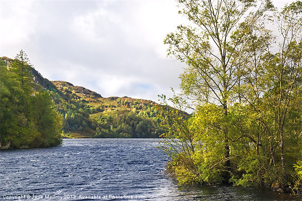 Loch Katrine, the Trossachs, Scotland Picture Board by Jane McIlroy