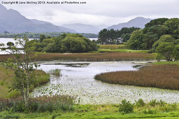 Lake Shore Killarney Ireland Picture Board by Jane McIlroy