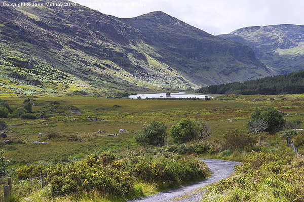 Irish Mountain Scene Picture Board by Jane McIlroy