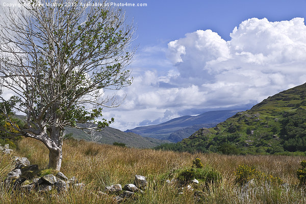 Irish Mountain Landscape Picture Board by Jane McIlroy