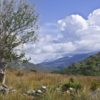 Buy canvas prints of Irish Mountain Landscape by Jane McIlroy