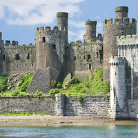 Buy canvas prints of Conwy Castle Wales by Jane McIlroy